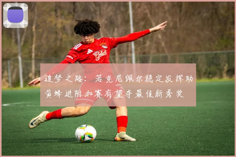 追梦之路：若克尼佩尔稳定发挥助黄蜂进附加赛有望夺最佳新秀奖