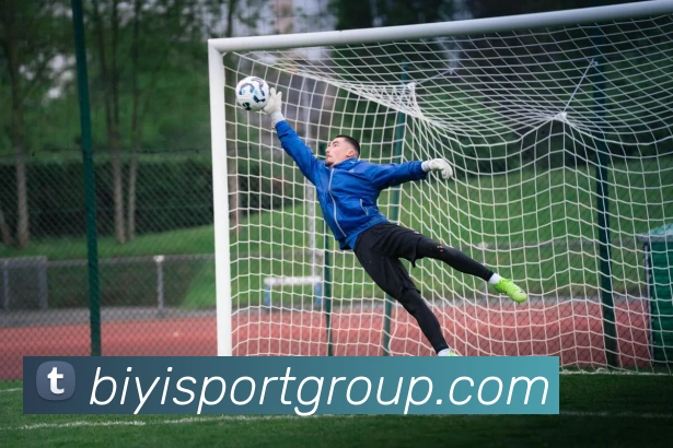 多媒体互动体验